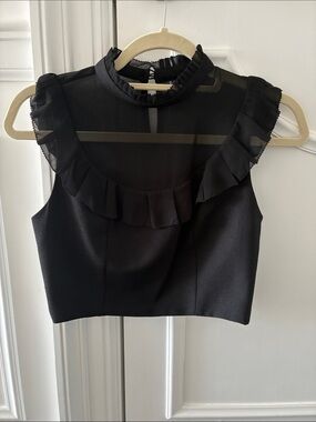Nasty Gal Black Ruffle Mesh Mock-Neck Crop Top